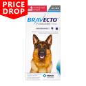 Bravecto Hund Husdjur (66 produkter) PriceRunner »