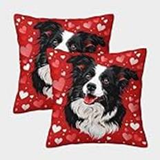 AOOLBFEWP 3D-tryckt Border Collie kuddfodral Life's Essentials fyrkantiga kuddöverdrag presenter, dekor för hemmet supermjuk 2-pack för soffa vardagsrum sovrum utomhus trädgård 40 x 40 cm