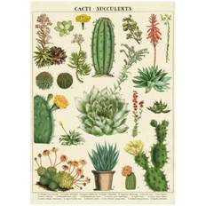 Cacti & Succulents Poster