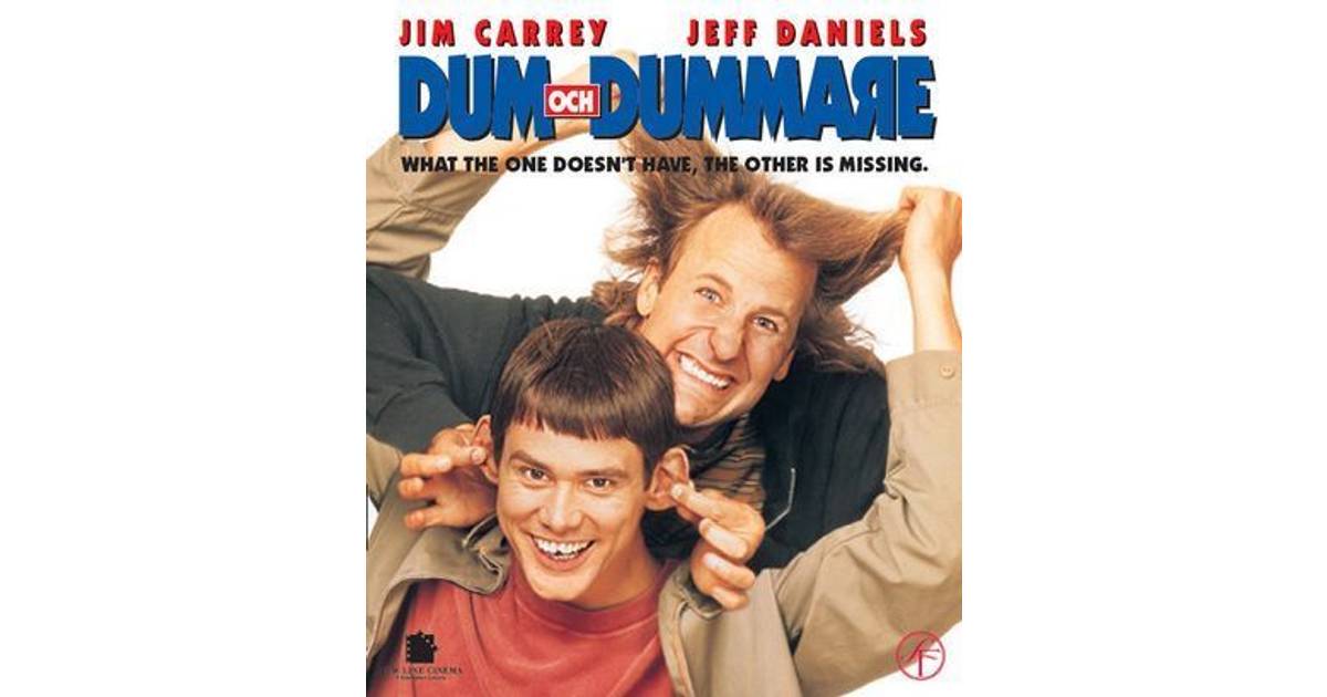 Dum & Dummare (Blu-ray) • Se lägsta priset (1 butiker) hos ...