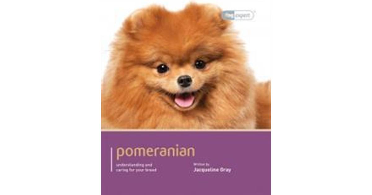 Pomeranian Svart Pris