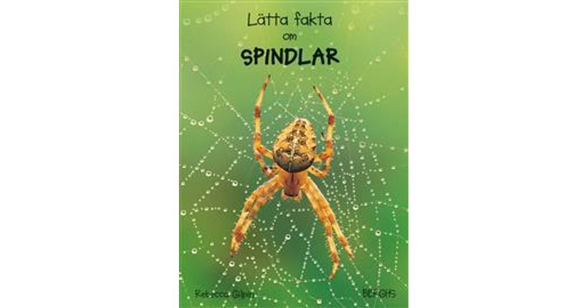 Lätta fakta om spindlar (Inbunden, 2013) - Hitta bästa pris ...