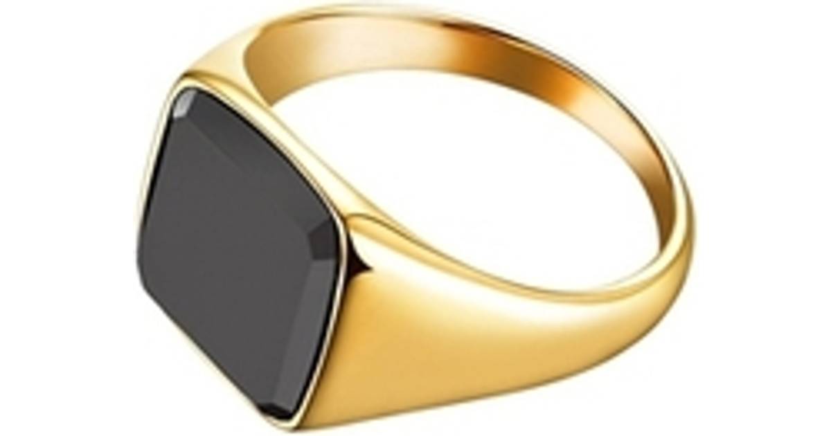 Northern Legacy Signature Ring - Gold/Onyx • Priser »