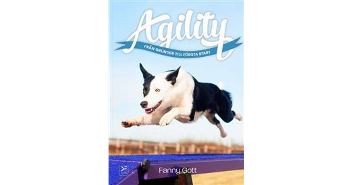 Agility - från grunder till första start (E-bok, 2017) • Se priser ...