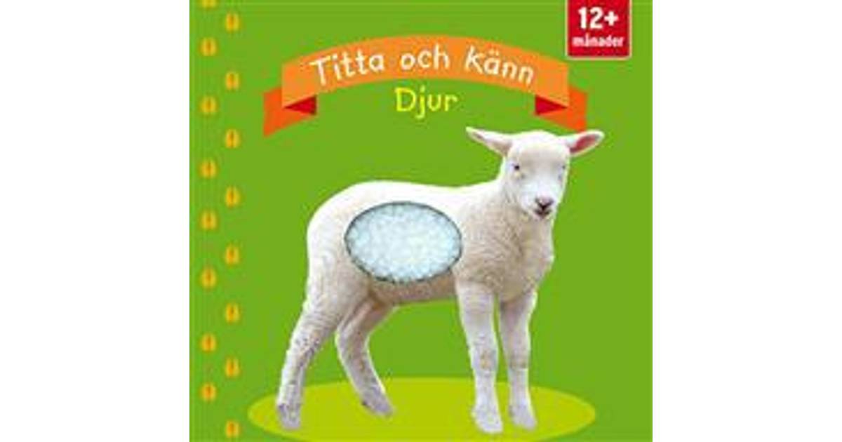 Titta och känn. Djur (Board book, 2017) - Hitta bästa pris ...