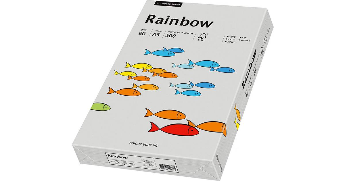Papyrus Rainbow Grey 80g A3 500 • Se lägsta pris nu