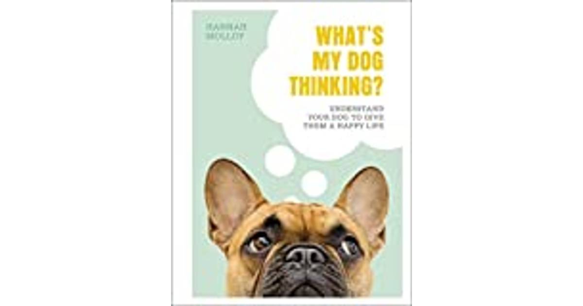 What's My Dog Thinking?: Understand Your Dog to Give... (Bog, Hardback) •  Se priser »