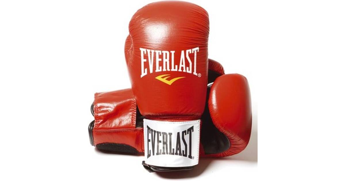 Everlast Leather Boxing Gloves 10oz • Se lägsta pris nu