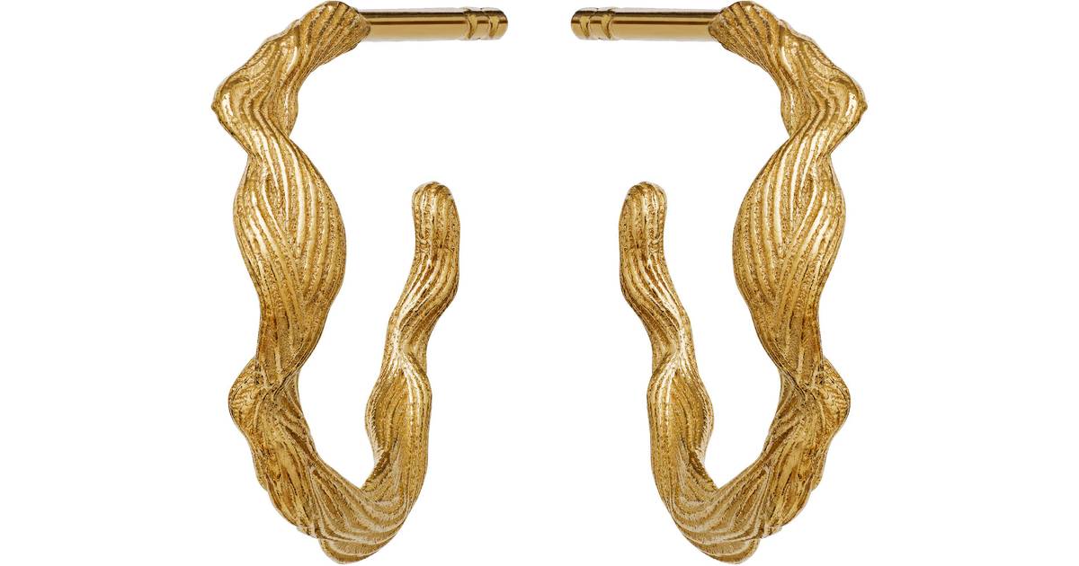 Maanesten Ara Earrings - Gold (2 butiker) • Se priser »