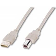 Assmann USB-kabel Kablar Assmann USB A-USB B 2.0 5m