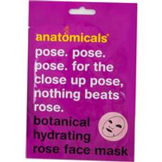 Anatomicals Ansiktsmasker Anatomicals Botanical Rose Hydrating Face Mask 25g