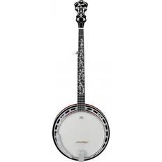 Bästa Banjos Ibanez B200