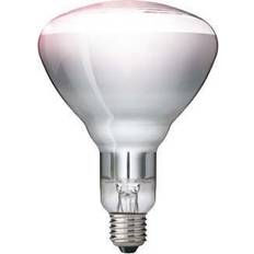 Philips BR125 IR Incandescent Lamp 250W E27