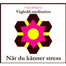 När du känner stress - Vägledd meditation (Ljudbok, MP3, 2019)