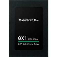 TeamGroup GX1 T253X1120G0C101 120GB