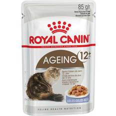 Royal Canin Katter - Våtfoder Husdjur Royal Canin Aging 12+ in Jelly