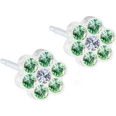 Blomdahl Daisy Earrings 5mm - White/Green