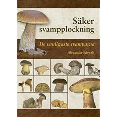Naturvetenskap & Teknik Böcker Säker svampplockning: de vanligaste svamparna (Inbunden)