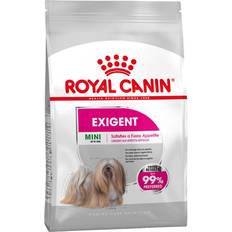 Royal Canin Hundar - Omega-3 Husdjur Royal Canin Mini Exigent Adult 3kg