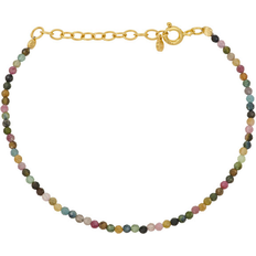 Turmalin Armband Pernille Corydon Rainbow Bracelet - Gold/Tourmaline