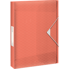 Arkiveringsboxar Esselte Colour'Ice Box File PP