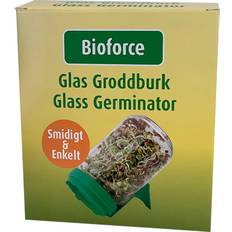 Glas - Gröna Köksförvaring Bioforce - Köksbehållare