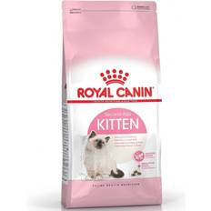 Royal Canin Katter - Majs Husdjur Royal Canin Kitten 10kg