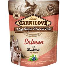 Carnilove Salmon with Blueberries for Puppies 0.3kg