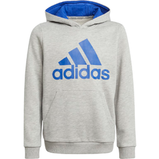 Adidas Kid's Big Logo Hoody - Medium Grey Heather/Bold Blue (H35858)