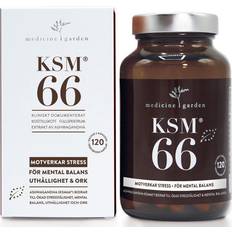 Vassleproteiner Vitaminer & Kosttillskott Medicine Garden KSM66 120 st
