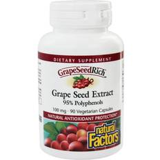 Natural Factors GrapeSeedRich Grape Seed Extract 100 mg 90 Vegetarian Capsules