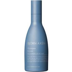 Björn Axén Färgbevarande Hårprodukter Björn Axén Repair Shampoo 250ml