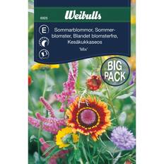 Weibulls Sommarblommor Mix