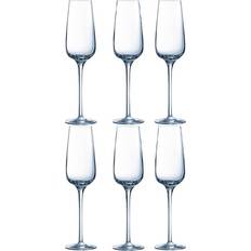 Chef & Sommelier Glas Chef & Sommelier Sublym Champagneglas 21cl 6st
