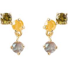 Juno Earrings - Gold/Multicolour