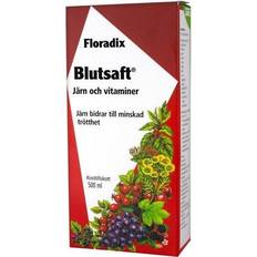 MSM Vitaminer & Kosttillskott Floradix Salus Blutsaft Large Bottle 500ml
