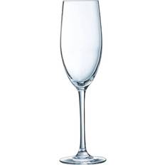 ARC Glas ARC - Champagne Glass 24cl