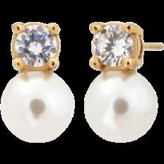 Pärlor Örhängen Edblad Luna Studs S Earrings - Gold/Pearls/Transparent