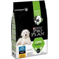 Pro Plan Hundar Husdjur Pro Plan Large Robust Puppy OPTISTART 3