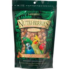 Lafeber Tropical Fruit Nutri-Berries Bird Food Fun