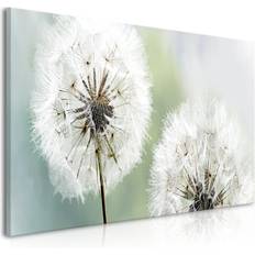 Artgeist Canvas - Fluffy Dandelions Green Wide Tavla