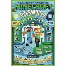Minecraft Overworld Biome Maxi Poster