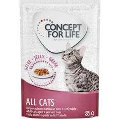 Concept for Life Cats förbättrad Som All Cats