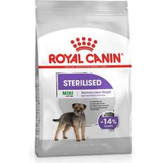 Royal Canin Hundar - Omega-3 Husdjur Royal Canin Mini Sterilised 8kg