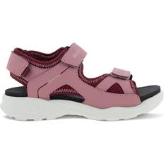 Ecco 28 Sandaler ecco Kid's Biom Raft Sandal - Blush/Morillo