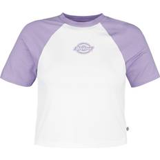 Dickies Dam - Lila T-shirts Dickies Men's Sodaville T-Shirt - Purple Rose