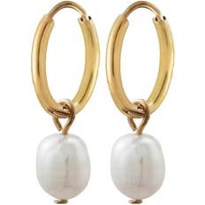 Edblad Pärlor Örhängen Edblad Perla Hoops - Gold/Pearls