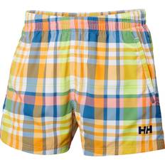 Helly Hansen Badkläder Helly Hansen Men's Newport Swim Trunks Navy Navy Blue Stripe