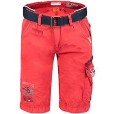 Geographical Norway parodie_063 red