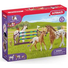 Schleich Horse Club Lisa’s Tournament Training 42433